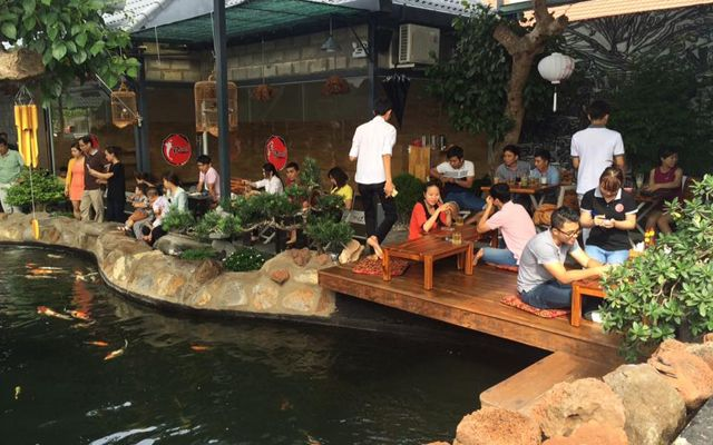 Top 10+ quán cafe koi view đẹp hút khách - Kaizen Coffee
